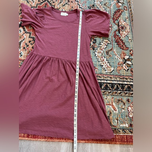 Nation LTD Cadee Dress Rusted Rose size Small - Picture 14 of 15